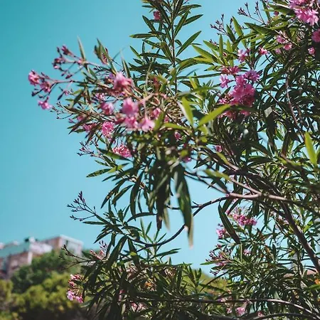 Monaco&quisisana 4* Lido di Jesolo